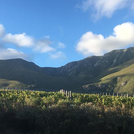 Misty Mountains Villa Hermanus Esterno foto