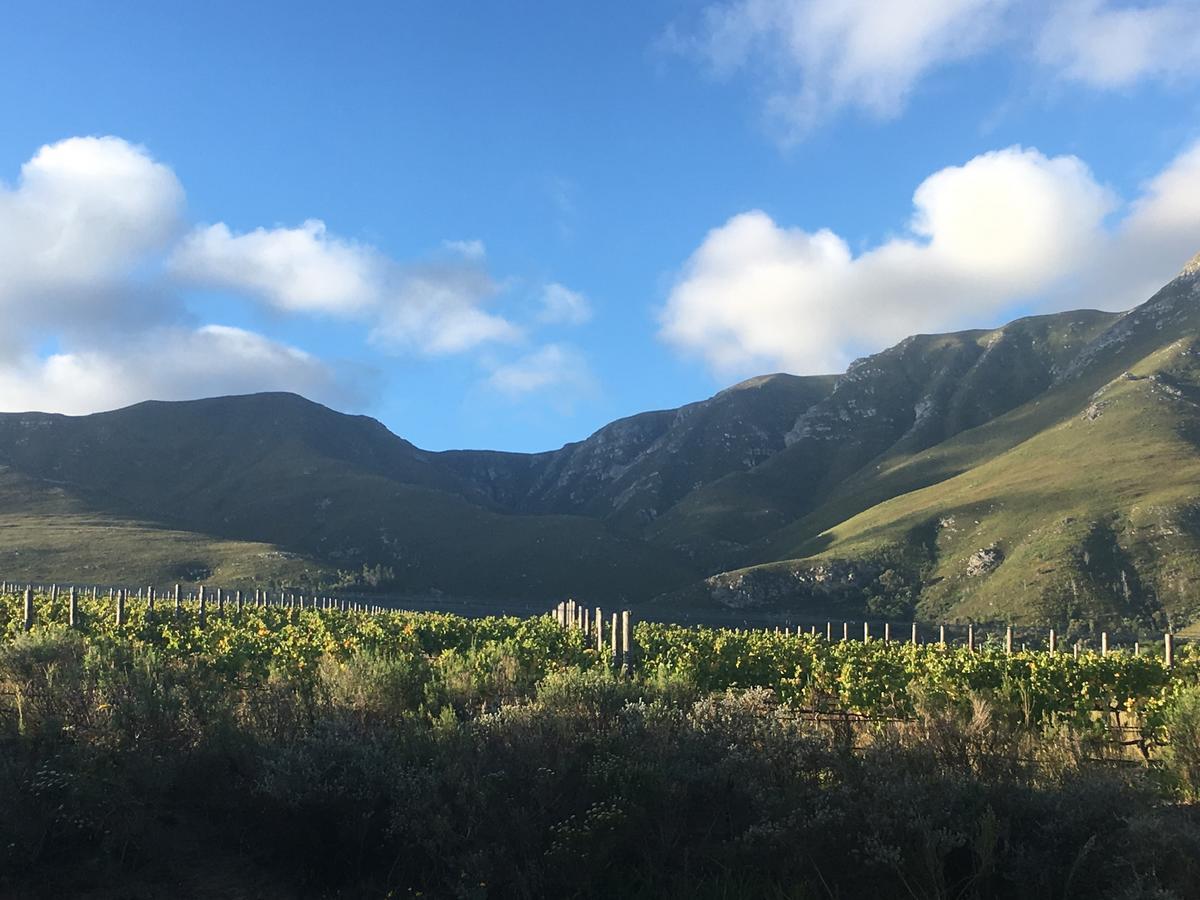 Misty Mountains Villa Hermanus Esterno foto