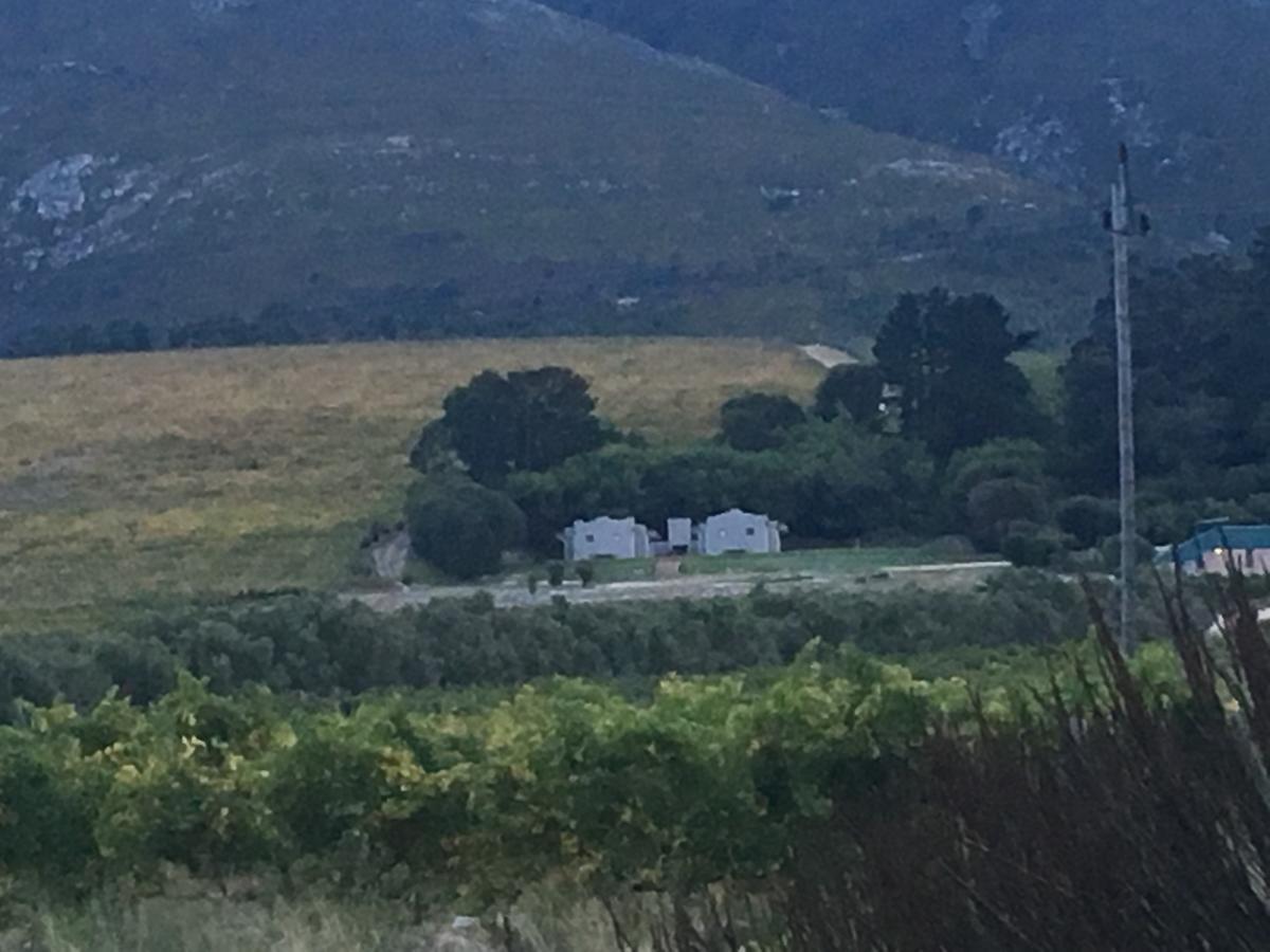 Misty Mountains Villa Hermanus Esterno foto
